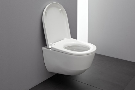 Унитаз Laufen Pro Rimless 8.2096.5 подвесной без сиденья