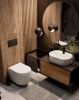 AQM2012 Унитаз подвесной сиденье SoftClose, технология смыва QUIET, скрыт крепеж. 495х360х370