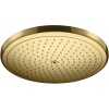 Верхний душ Hansgrohe Croma 26220990 Полированное золото
