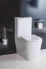 Чаша напольного унитаза BelBagno ALBANO BB120CPR