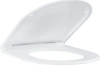 Крышка-сиденье Grohe Essence с микролифтом 39577000