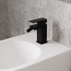 Смеситель WasserKRAFT Abens 2006, для биде, нержавеющая сталь, латунный корпус
