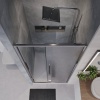 Дверь в нишу NG-65-11CH (110*195) хром, стекло шиншилла, 1 место