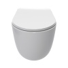 AQM2012 Унитаз подвесной сиденье SoftClose, технология смыва QUIET, скрыт крепеж. 495х360х370