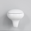 Унитаз Diamond 123T20001R (530*405*375) БЕЛЫЙ подвесной БЕЗОБОДКОВЫЙ с толстой крышкой, 2 места