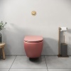 Унитаз GR-4455PIMS Color (495*365*375) РОЗОВЫЙ МАТОВЫЙ подвесной БЕЗОБОДКОВЫЙ с тонкой крышкой